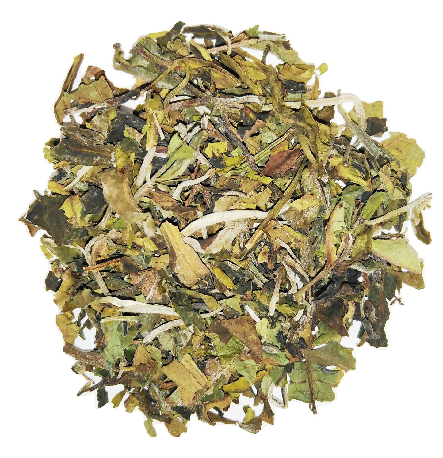 White Pai Mu Tan