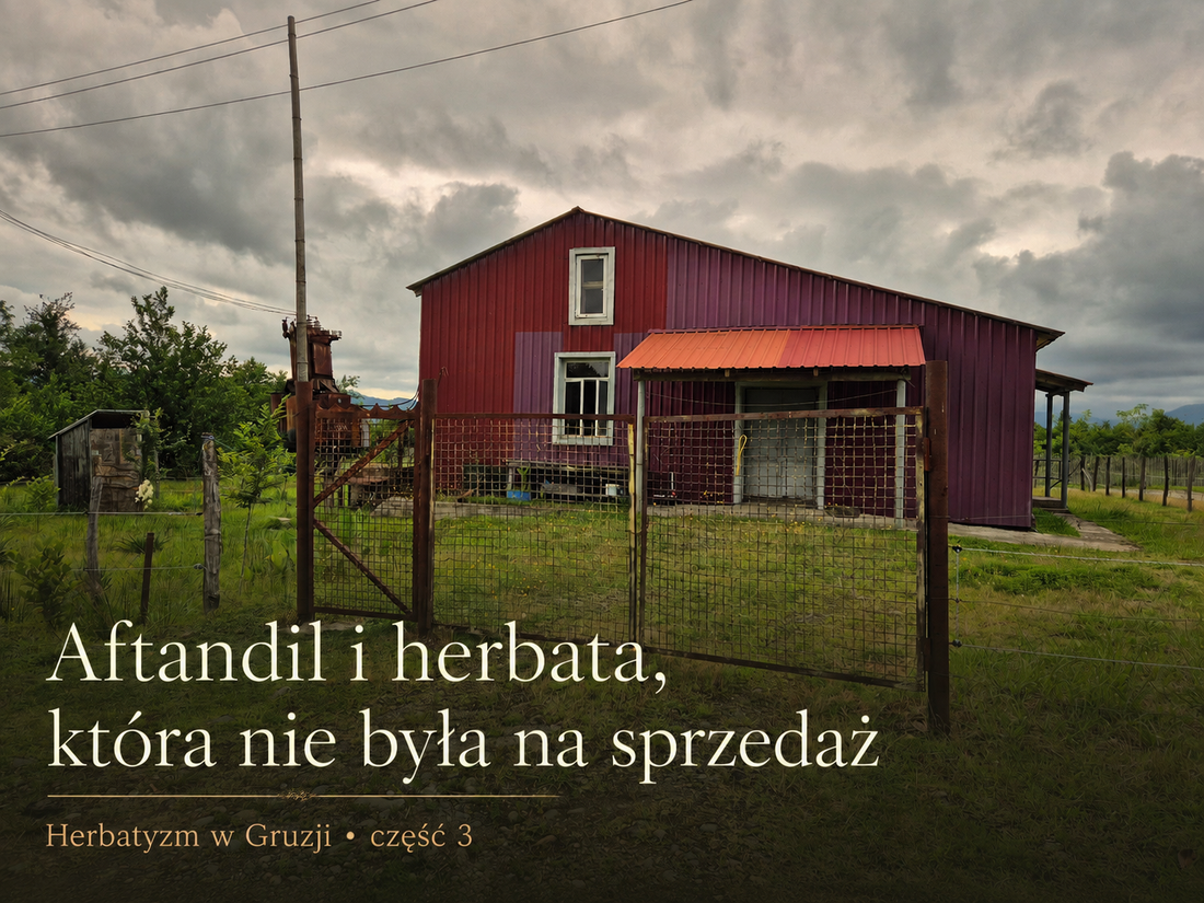 Fabryka herbaty Aftandila i herbata, która nie była na sprzedaż.