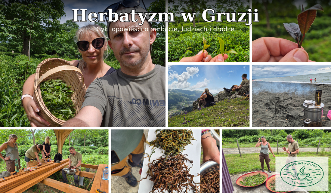 Łukasz i Alicja z Galerii Five O’Clock podczas zbiorów i produkcji herbaty w gruzińskiej Gurii