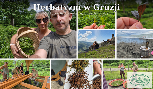 Łukasz i Alicja z Galerii Five O’Clock podczas zbiorów i produkcji herbaty w gruzińskiej Gurii
