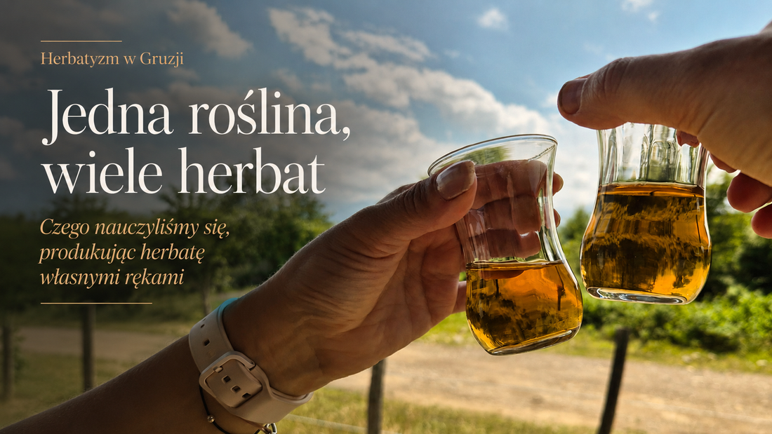 Różne etapy produkcji herbaty z liści Camellia sinensis w gruzińskiej manufakturze