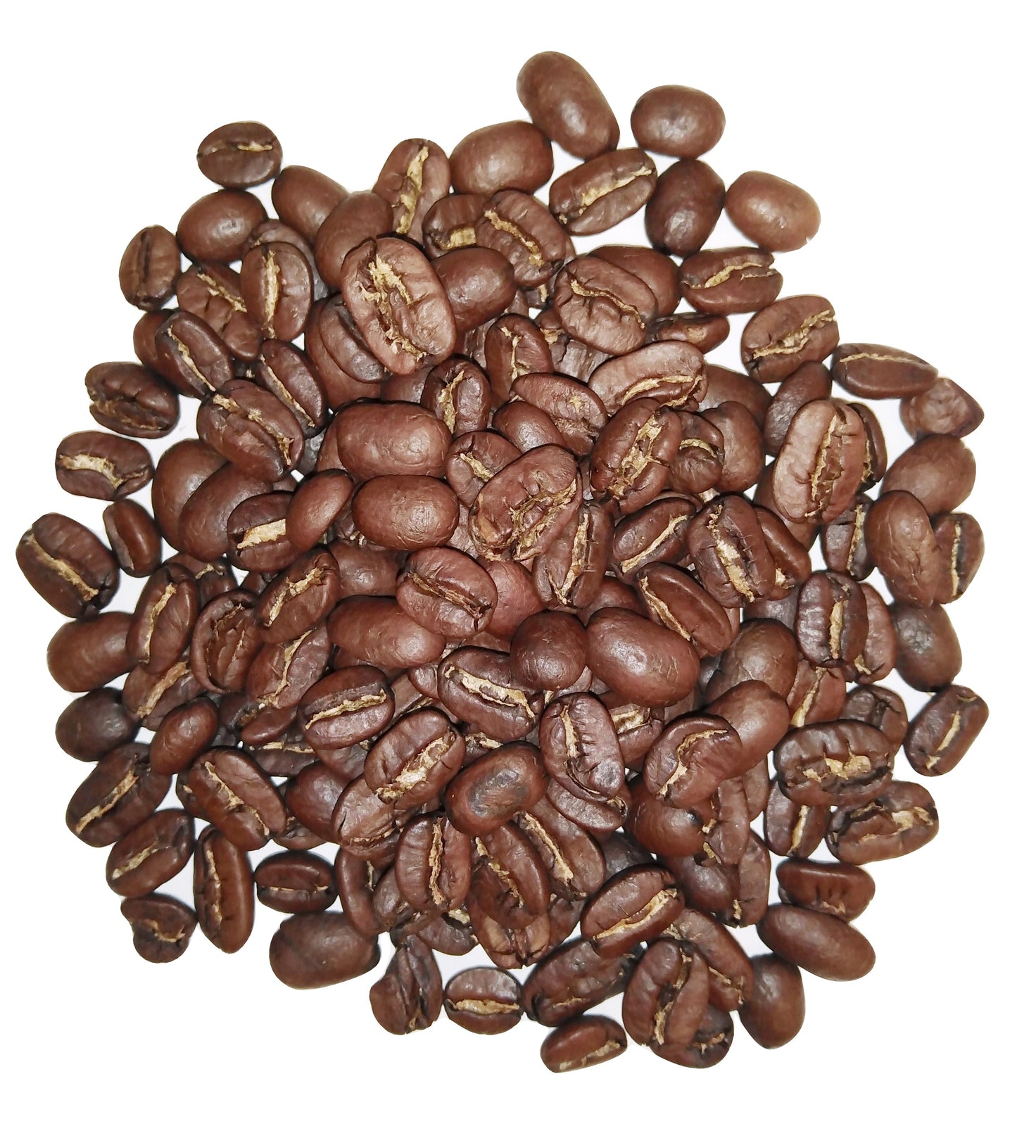Kawa Nicaragua Maragogype