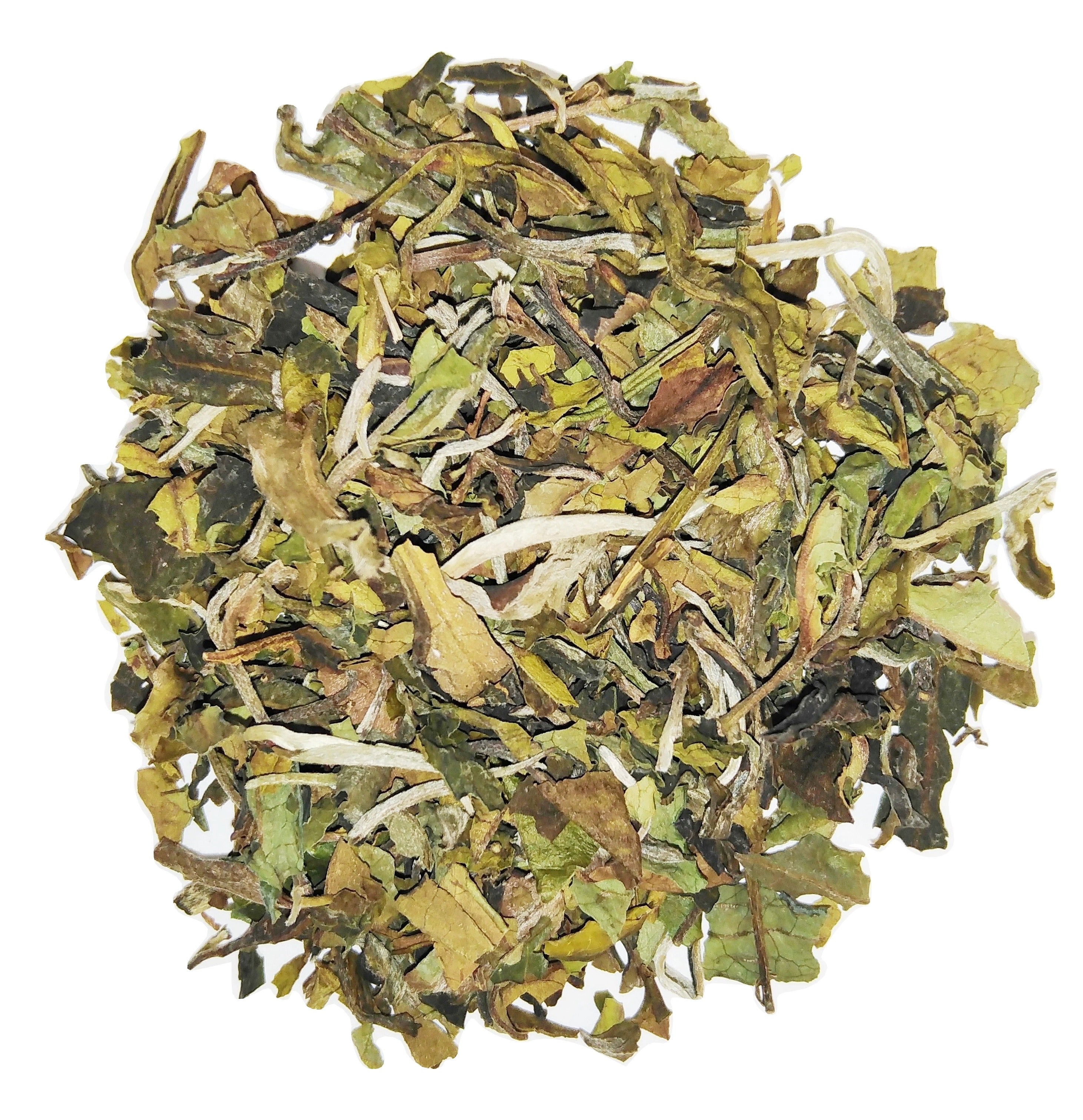 White Pai Mu Tan