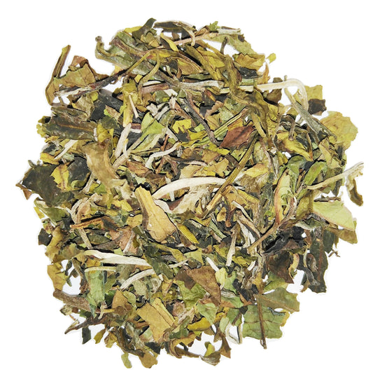 White Pai Mu Tan