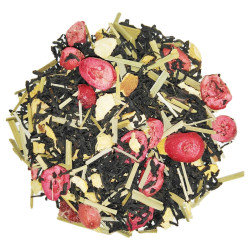 Spacer po Kołobrzegu